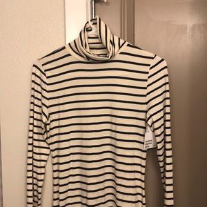 H&M Turtle Neck Striped Dress